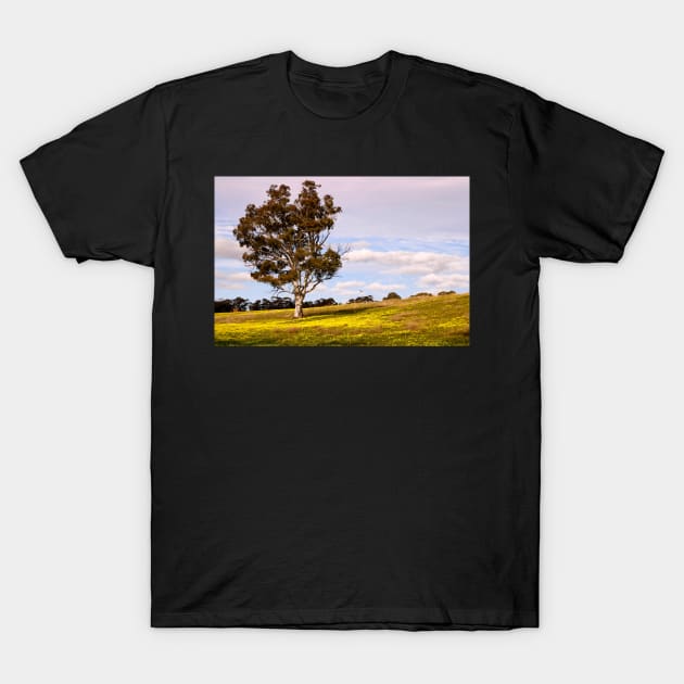 Spring has Arrived T-Shirt by jwwallace